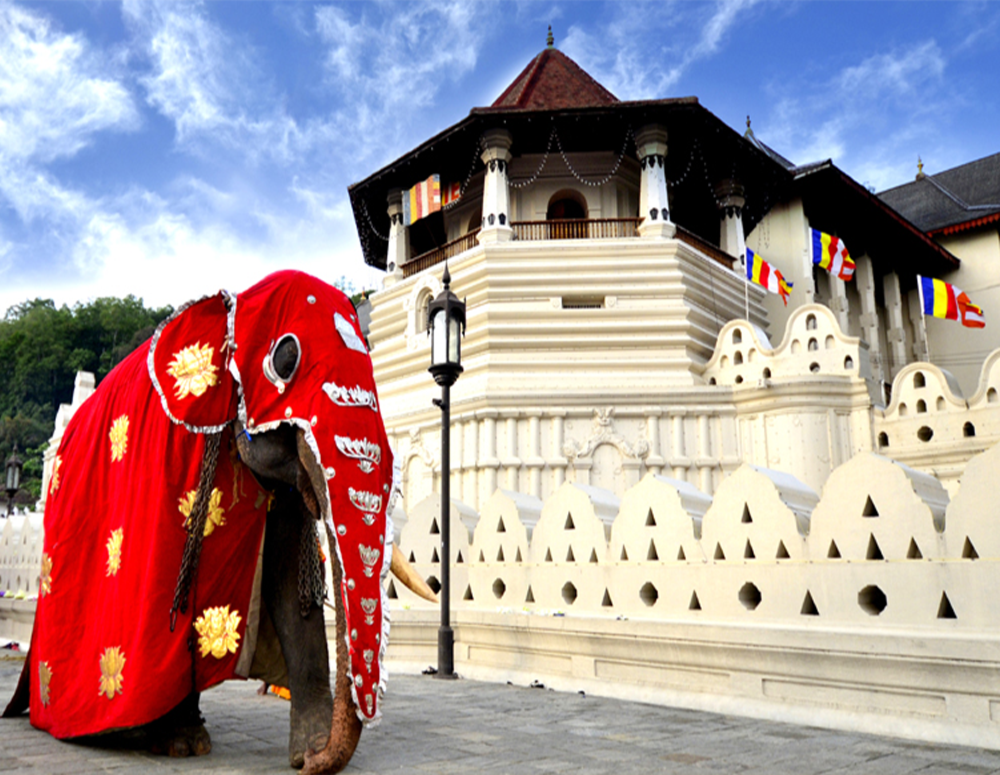 Day Tour Of Kandy